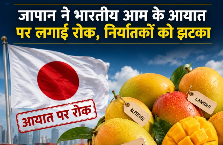 जापान ने भारतीय आम पर लगाई रोक, निर्यातकों को बड़ा झटका