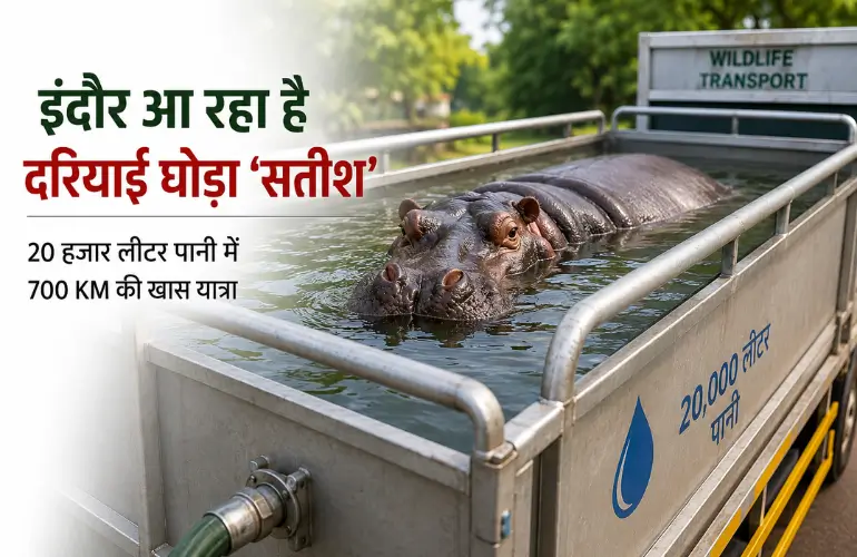 20 हजार लीटर पानी में 700 KM का सफर! इंदौर आएगा कानपुर का दरियाई घोड़ा 'सतीश'