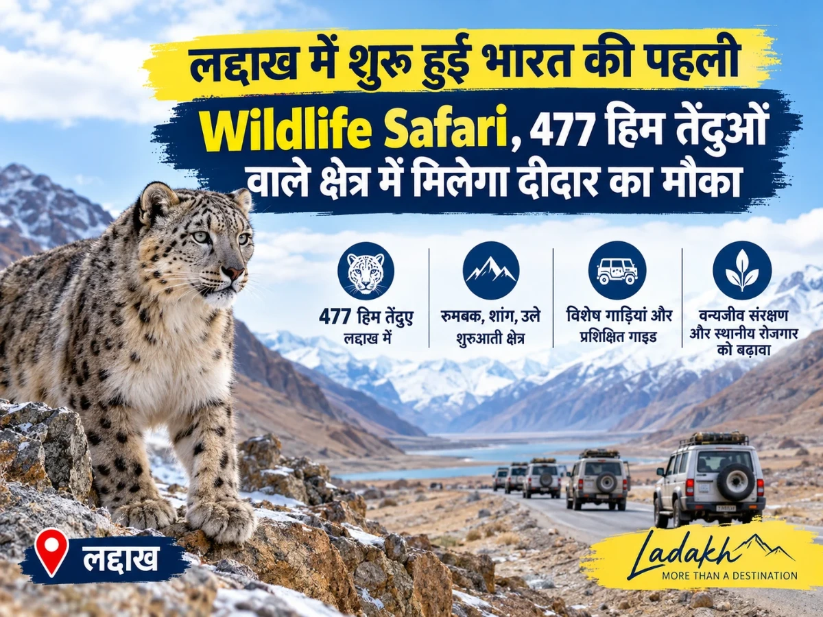 लद्दाख में शुरू हुई भारत की पहली Wildlife Safari, 477 हिम तेंदुओं वाले क्षेत्र में मिलेगा दीदार का मौका
