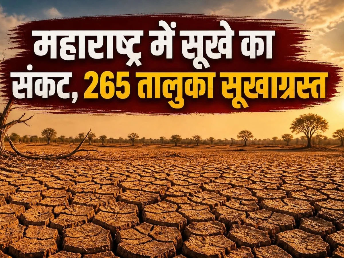 महाराष्ट्र में बड़ा draught संकट: 358 में से 265 तालुका सूखाग्रस्त, किसानों को राहत